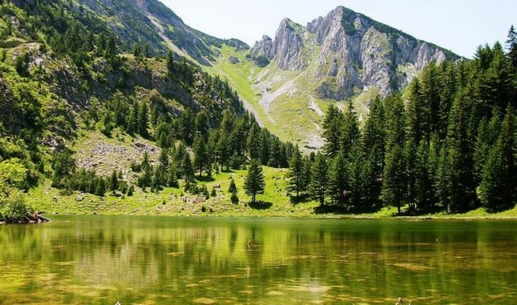 natyra te bukura foto