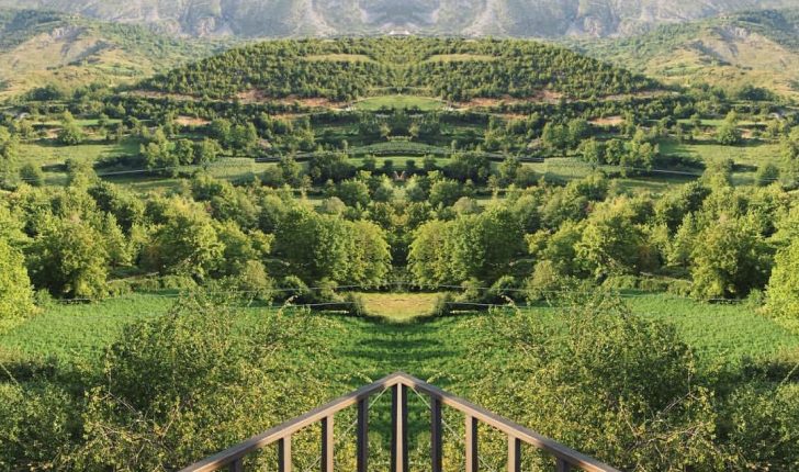 Featured Image