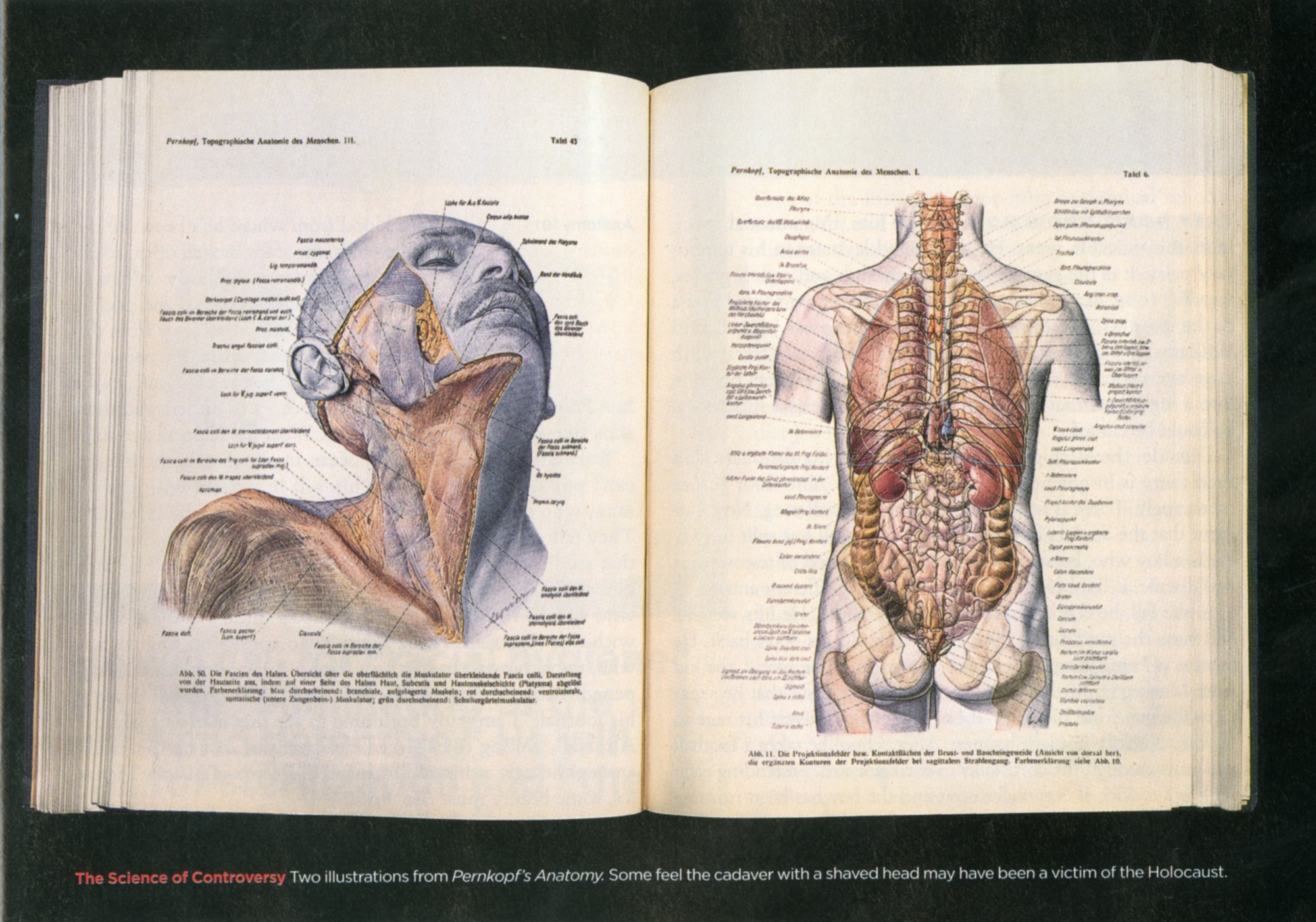 Анатомия человека 1. Атлас топографической анатомии человека Пирогова. Анатомия человека атлас 1990. Пернкопф атлас анатомии.