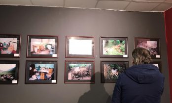 Galeria