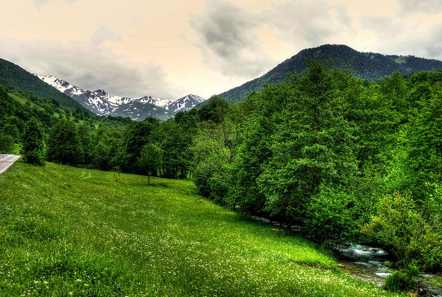 Featured Image