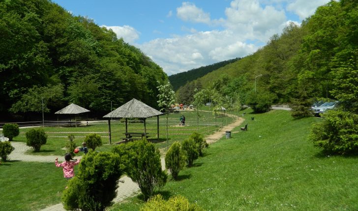 Featured Image
